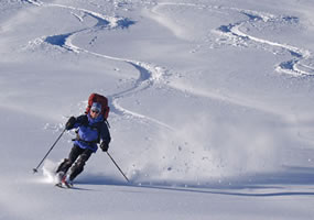 powder skiing